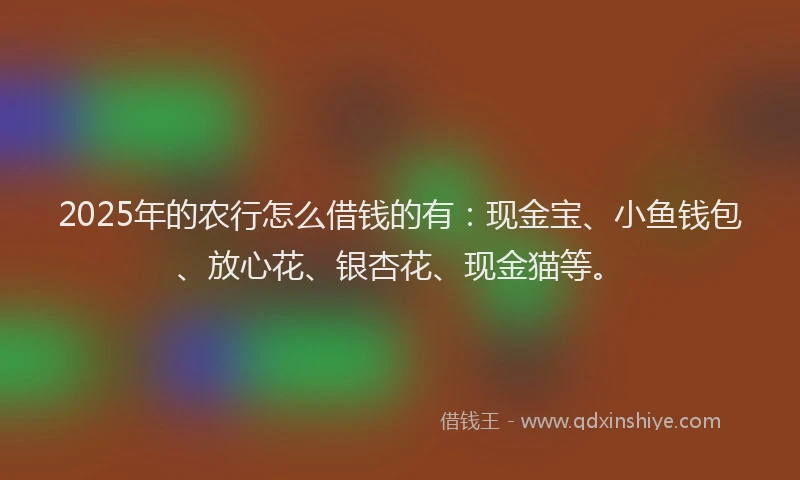 2025年的农行怎么借钱的有：现金宝、小鱼钱包、放心花、银杏花、现金猫等。