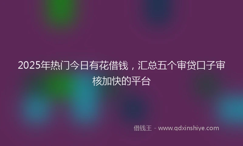2025年热门今日有花借钱，汇总五个审贷口子审核加快的平台