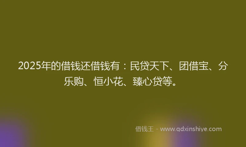 2025年的借钱还借钱有：民贷天下、团借宝、分乐购、恒小花、臻心贷等。
