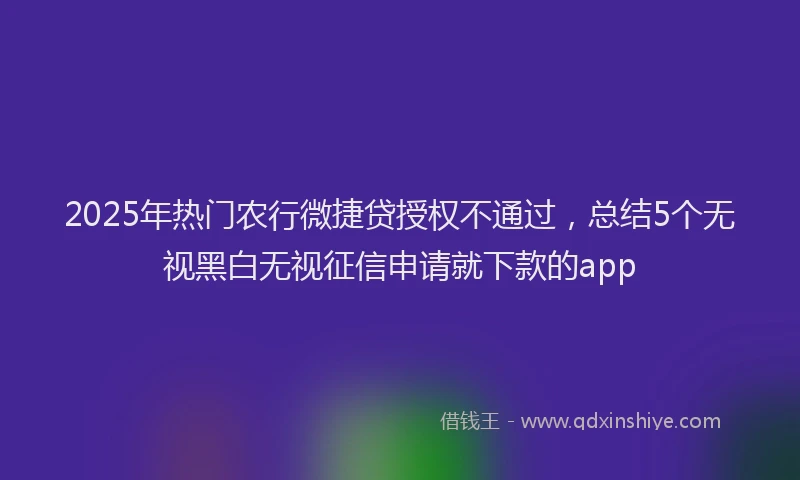 2025年热门农行微捷贷授权不通过，总结5个无视黑白无视征信申请就下款的app