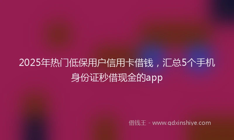 2025年热门低保用户信用卡借钱，汇总5个手机身份证秒借现金的app