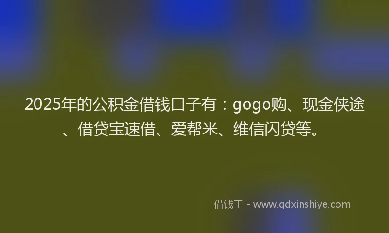 2025年的公积金借钱口子有：gogo购、现金侠途、借贷宝速借、爱帮米、维信闪贷等。