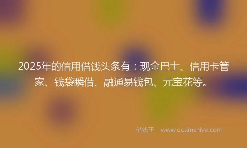 2025年的信用借钱头条有：现金巴士、信用卡管家、钱袋瞬借、融通易钱包、元宝花等。