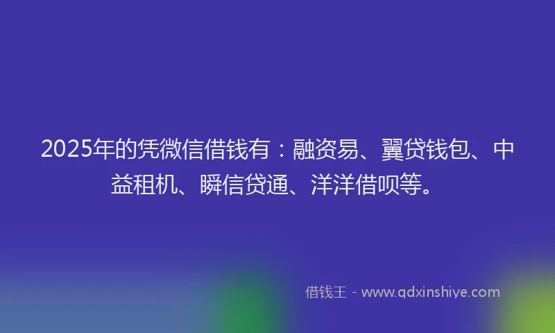 2025年的凭微信借钱有：融资易、翼贷钱包、中益租机、瞬信贷通、洋洋借呗等。
