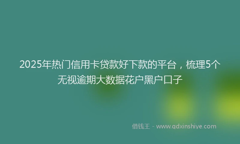2025年热门信用卡贷款好下款的平台，梳理5个无视逾期大数据花户黑户口子
