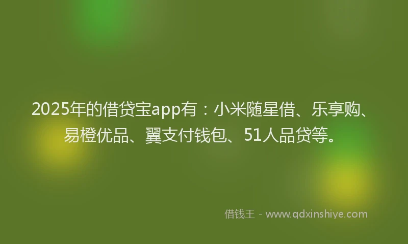 2025年的借贷宝app有：小米随星借、乐享购、易橙优品、翼支付钱包、51人品贷等。