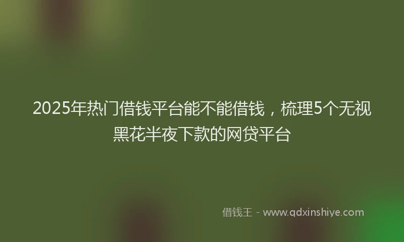 2025年热门借钱平台能不能借钱，梳理5个无视黑花半夜下款的网贷平台