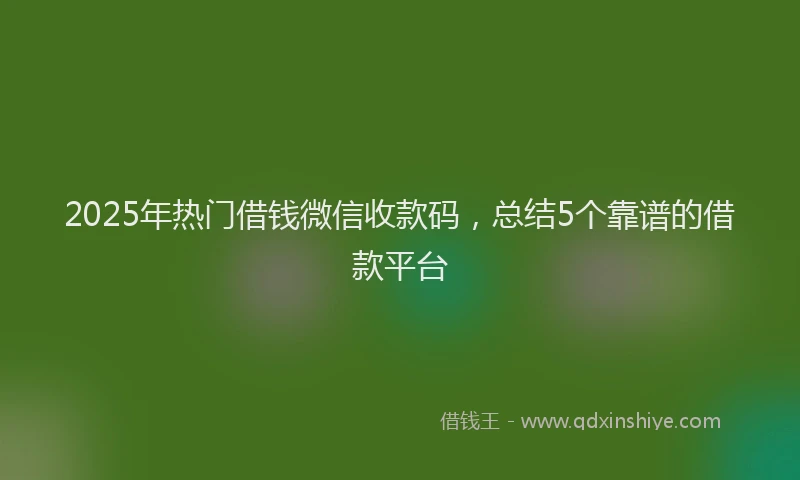 2025年热门借钱微信收款码，总结5个靠谱的借款平台