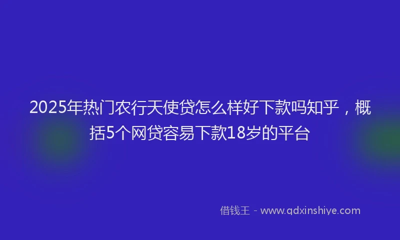 2025年热门农行天使贷怎么样好下款吗知乎，概括5个网贷容易下款18岁的平台