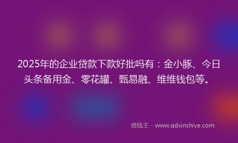 2025年的企业贷款下款好批吗有：金小豚、今日头条备用金、零花罐、甄易融、维维钱包等。