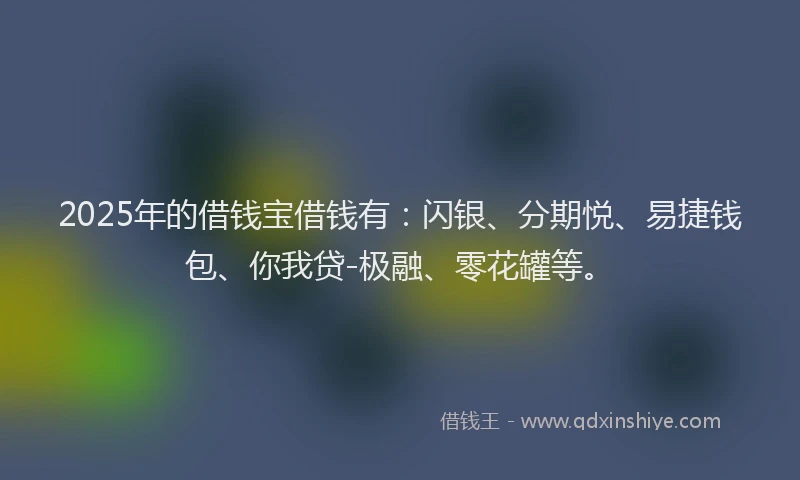 2025年的借钱宝借钱有：闪银、分期悦、易捷钱包、你我贷-极融、零花罐等。