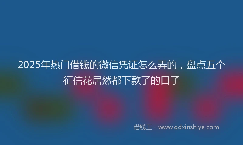 2025年热门借钱的微信凭证怎么弄的，盘点五个征信花居然都下款了的口子
