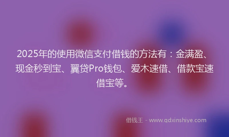 2025年的使用微信支付借钱的方法有：金满盈、现金秒到宝、翼贷Pro钱包、爱木速借、借款宝速借宝等。