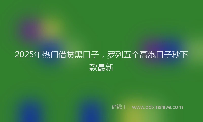 2025年热门借贷黑口子，罗列五个高炮口子秒下款最新
