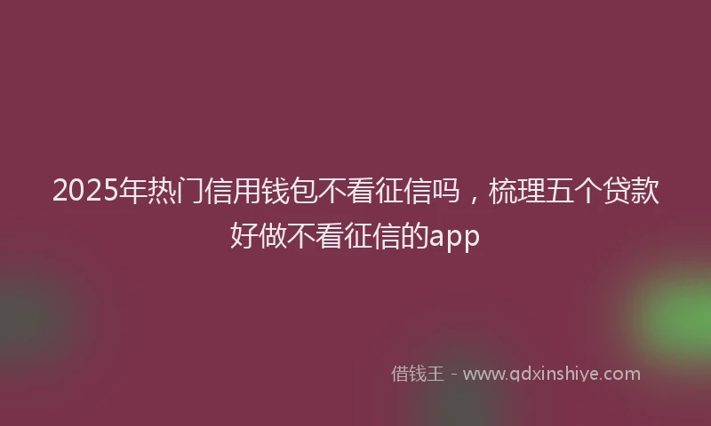 2025年热门信用钱包不看征信吗，梳理五个贷款好做不看征信的app