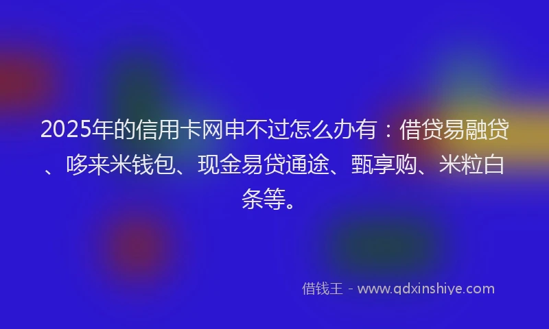 2025年的信用卡网申不过怎么办有：借贷易融贷、哆来米钱包、现金易贷通途、甄享购、米粒白条等。
