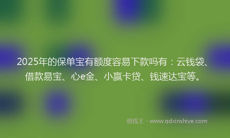 2025年的保单宝有额度容易下款吗有：云钱袋、借款易宝、心e金、小赢卡贷、钱速达宝等。