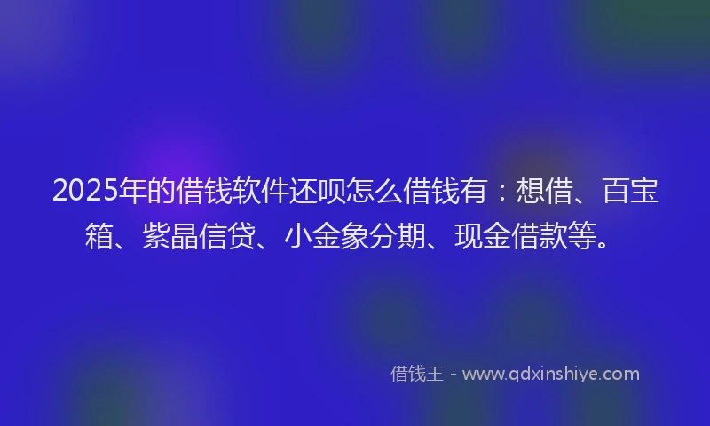 2025年的借钱软件还呗怎么借钱有：想借、百宝箱、紫晶信贷、小金象分期、现金借款等。