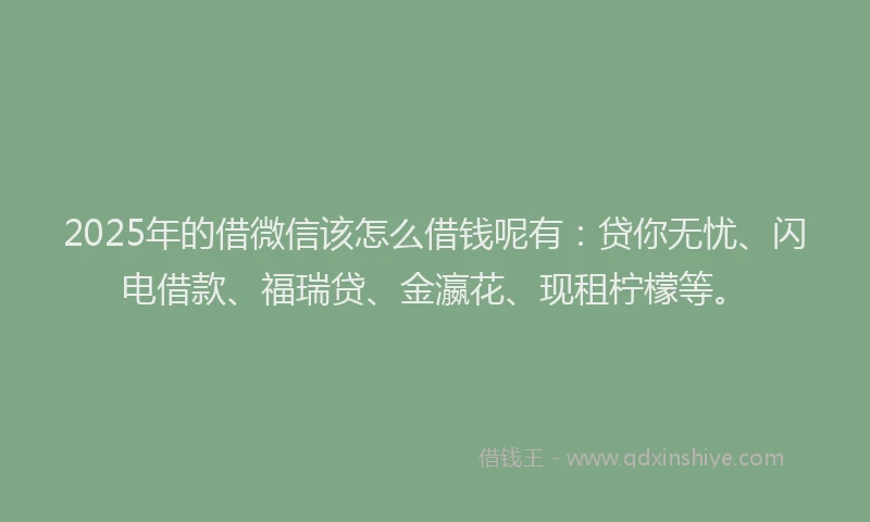 2025年的借微信该怎么借钱呢有：贷你无忧、闪电借款、福瑞贷、金瀛花、现租柠檬等。