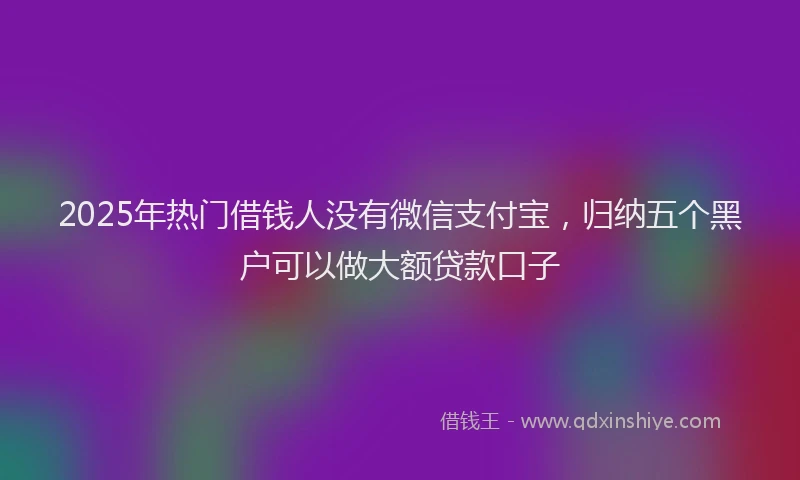 2025年热门借钱人没有微信支付宝，归纳五个黑户可以做大额贷款口子