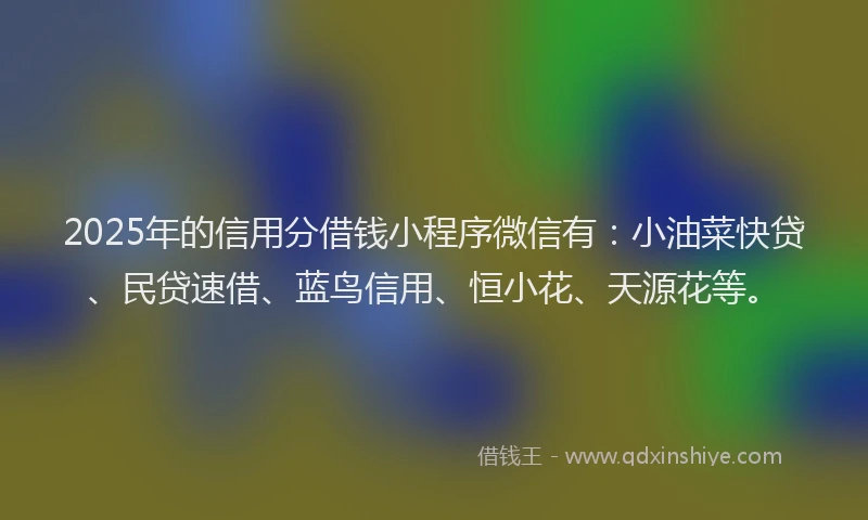 2025年的信用分借钱小程序微信有：小油菜快贷、民贷速借、蓝鸟信用、恒小花、天源花等。