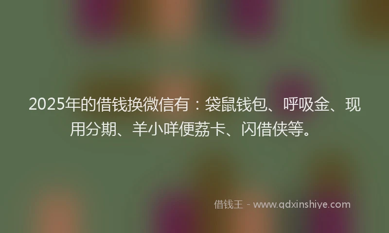 2025年的借钱换微信有：袋鼠钱包、呼吸金、现用分期、羊小咩便荔卡、闪借侠等。
