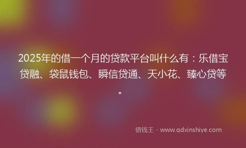 2025年的借一个月的贷款平台叫什么有：乐借宝贷融、袋鼠钱包、瞬信贷通、天小花、臻心贷等。