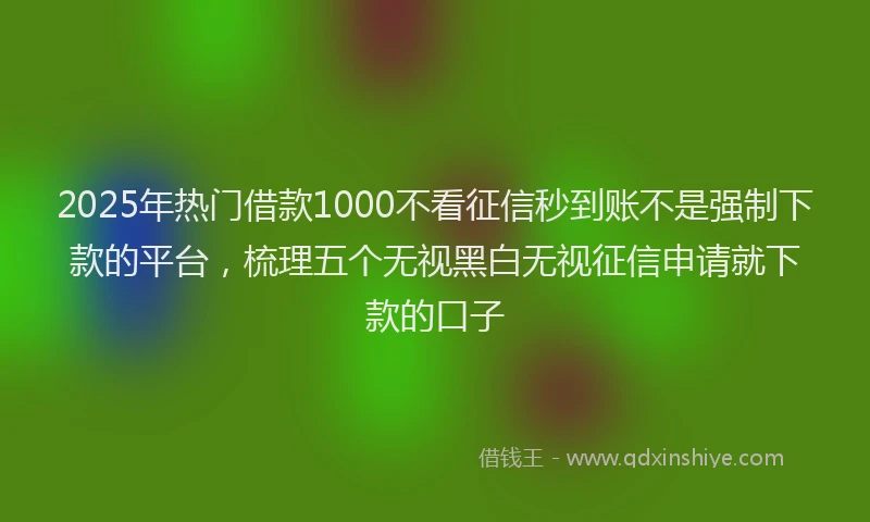 2025年热门借款1000不看征信秒到账不是强制下款的平台，梳理五个无视黑白无视征信申请就下款的口子