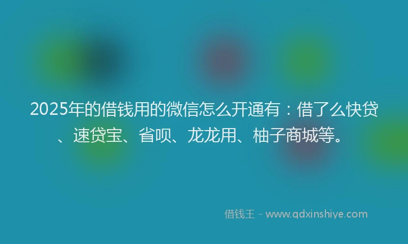 2025年的借钱用的微信怎么开通有：借了么快贷、速贷宝、省呗、龙龙用、柚子商城等。