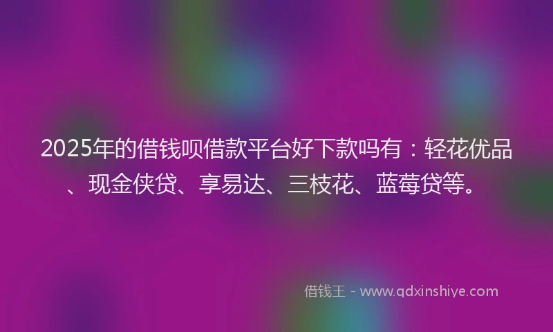 2025年的借钱呗借款平台好下款吗有：轻花优品、现金侠贷、享易达、三枝花、蓝莓贷等。