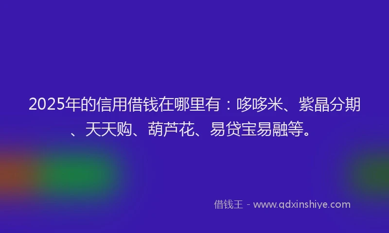 2025年的信用借钱在哪里有：哆哆米、紫晶分期、天天购、葫芦花、易贷宝易融等。