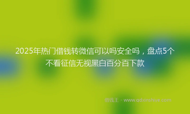 2025年热门借钱转微信可以吗安全吗，盘点5个不看征信无视黑白百分百下款