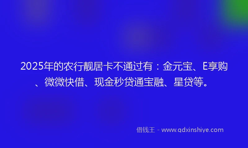 2025年的农行靓居卡不通过有：金元宝、E享购、微微快借、现金秒贷通宝融、星贷等。