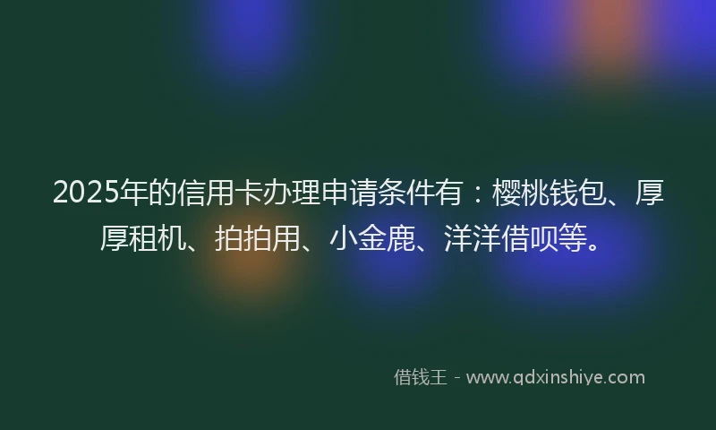 2025年的信用卡办理申请条件有：樱桃钱包、厚厚租机、拍拍用、小金鹿、洋洋借呗等。