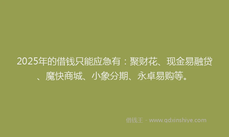 2025年的借钱只能应急有：聚财花、现金易融贷、魔快商城、小象分期、永卓易购等。