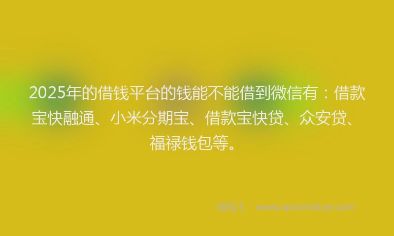 2025年的借钱平台的钱能不能借到微信有：借款宝快融通、小米分期宝、借款宝快贷、众安贷、福禄钱包等。