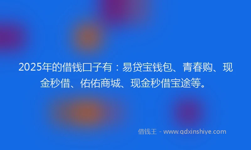 2025年的借钱囗子有：易贷宝钱包、青春购、现金秒借、佑佑商城、现金秒借宝途等。