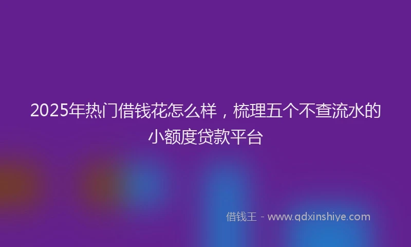 2025年热门借钱花怎么样，梳理五个不查流水的小额度贷款平台