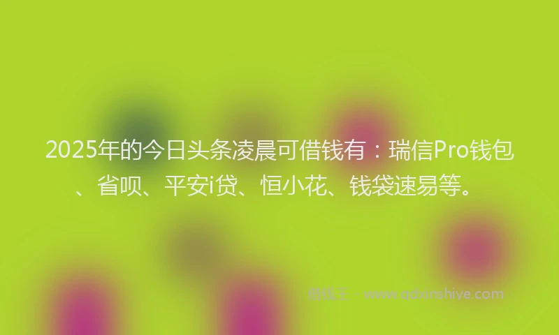 2025年的今日头条凌晨可借钱有：瑞信Pro钱包、省呗、平安i贷、恒小花、钱袋速易等。