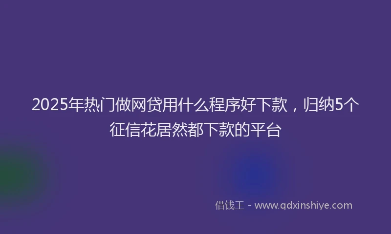 2025年热门做网贷用什么程序好下款，归纳5个征信花居然都下款的平台