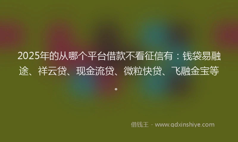 2025年的从哪个平台借款不看征信有：钱袋易融途、祥云贷、现金流贷、微粒快贷、飞融金宝等。
