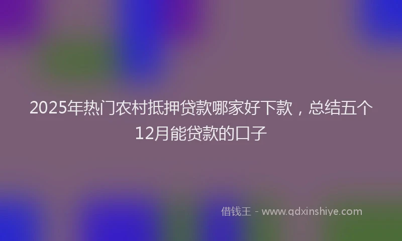 2025年热门农村抵押贷款哪家好下款，总结五个12月能贷款的口子