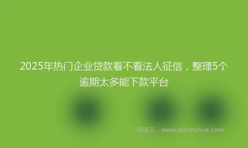 2025年热门企业贷款看不看法人征信，整理5个逾期太多能下款平台