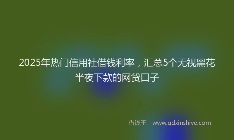 2025年热门信用社借钱利率，汇总5个无视黑花半夜下款的网贷口子