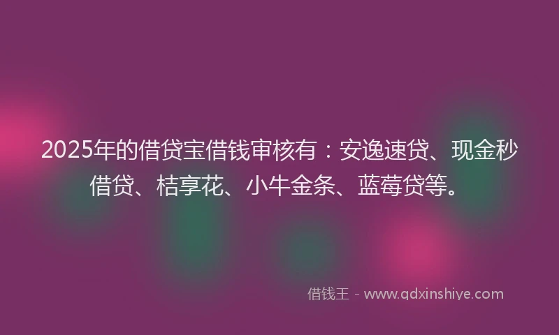 2025年的借贷宝借钱审核有：安逸速贷、现金秒借贷、桔享花、小牛金条、蓝莓贷等。