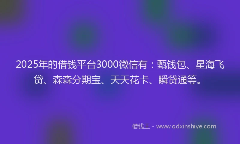 2025年的借钱平台3000微信有：甄钱包、星海飞贷、森森分期宝、天天花卡、瞬贷通等。