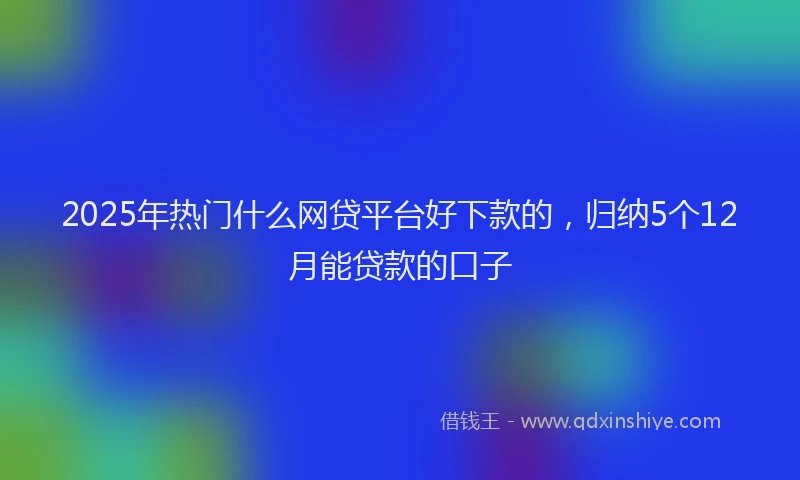 2025年热门什么网贷平台好下款的，归纳5个12月能贷款的口子