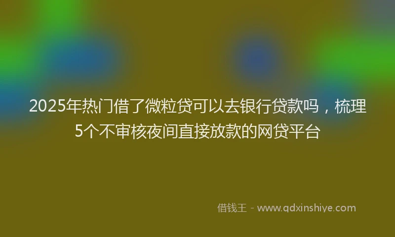 2025年热门借了微粒贷可以去银行贷款吗，梳理5个不审核夜间直接放款的网贷平台