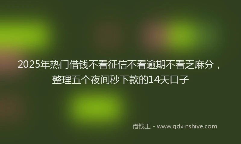 2025年热门借钱不看征信不看逾期不看乏麻分，整理五个夜间秒下款的14天口子