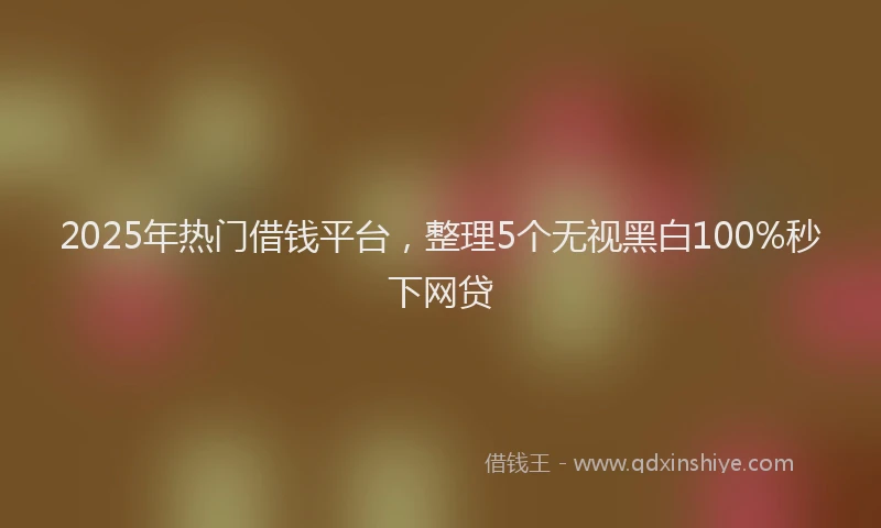 2025年热门借钱平台，整理5个无视黑白100%秒下网贷